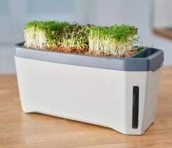 GUSTA GARDEN Hydrosysteme|Blumentöpfe & Übertöpfe > Kräutertopf Harry Herbs, ca. B36/H16/T15 cm