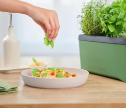GUSTA GARDEN Kräutertopf Harry Herbs mit Anzuchthaube, ca. B36/H25/T15 cm Dunkelgrün Hot