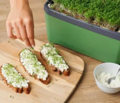 GUSTA GARDEN Kräutertopf Harry Herbs mit Anzuchthaube, ca. B36/H25/T15 cm Dunkelgrün Hot