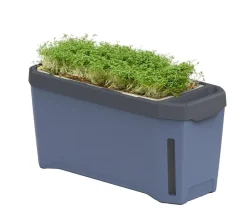 GUSTA GARDEN Kräutertopf Harry Herbs, ca. B36/H16/T15 cm Blau Best