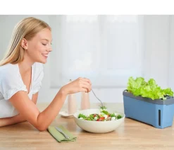 GUSTA GARDEN Kräutertopf Harry Herbs, ca. B36/H16/T15 cm Blau Best