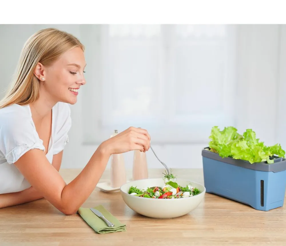 GUSTA GARDEN Kräutertopf Harry Herbs, ca. B36/H16/T15 cm Blau Best