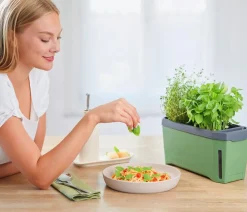 GUSTA GARDEN Kräutertopf Harry Herbs, ca. B36/H16/T15 cm Dunkelgrün Best