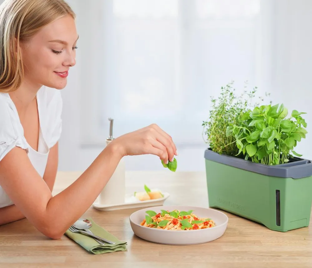 GUSTA GARDEN Kräutertopf Harry Herbs, ca. B36/H16/T15 cm Dunkelgrün Best