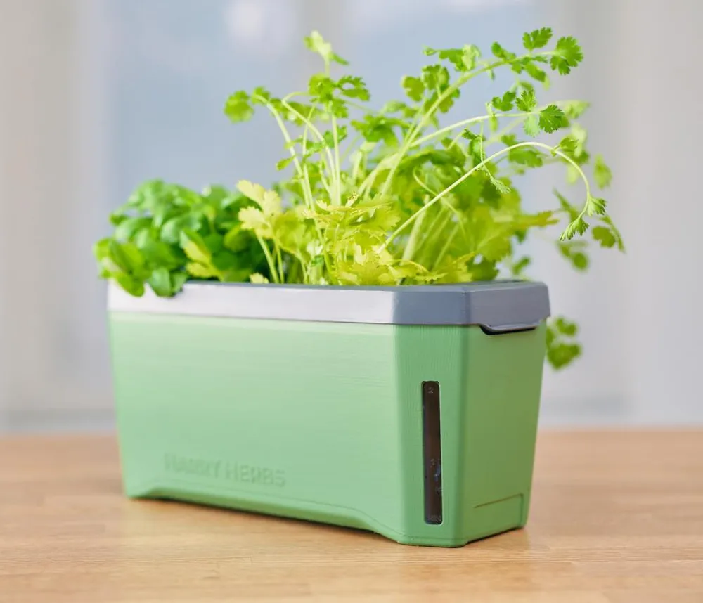 GUSTA GARDEN Kräutertopf Harry Herbs, ca. B36/H16/T15 cm Dunkelgrün Best