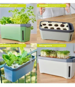 GUSTA GARDEN Kräutertopf Harry Herbs, ca. B36/H16/T15 cm Dunkelgrün Best