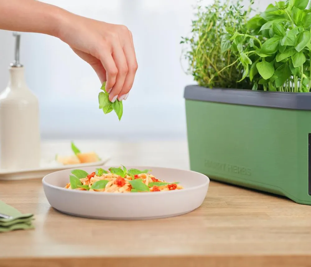 GUSTA GARDEN Kräutertopf Harry Herbs, ca. B36/H16/T15 cm Dunkelgrün Best