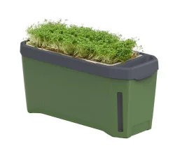GUSTA GARDEN Kräutertopf Harry Herbs, ca. B36/H16/T15 cm Dunkelgrün Best
