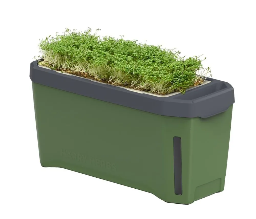 GUSTA GARDEN Kräutertopf Harry Herbs, ca. B36/H16/T15 cm Dunkelgrün Best