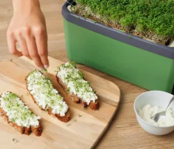 GUSTA GARDEN Kräutertopf Harry Herbs, ca. B36/H16/T15 cm Dunkelgrün Best