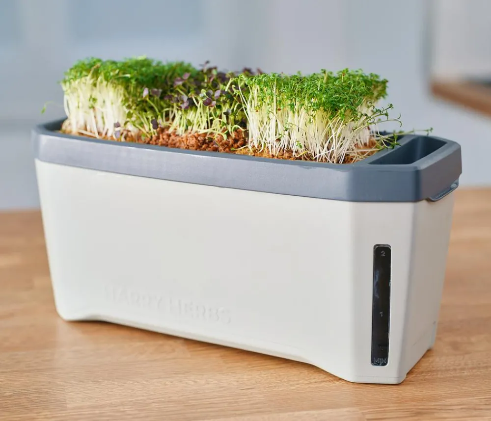GUSTA GARDEN Hydrosysteme|Blumentöpfe & Übertöpfe - Kräutertopf Harry Herbs mit Anzuchthaube, ca. B36/H25/T15 cm Hellgrau