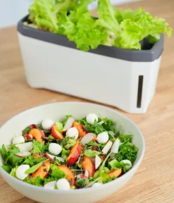 GUSTA GARDEN Hydrosysteme|Blumentöpfe & Übertöpfe - Kräutertopf Harry Herbs, ca. B36/H16/T15 cm Weiß