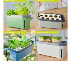 GUSTA GARDEN Hydrosysteme|Blumentöpfe & Übertöpfe - Kräutertopf Harry Herbs, ca. B36/H16/T15 cm Weiß
