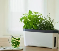 GUSTA GARDEN Hydrosysteme|Blumentöpfe & Übertöpfe - Kräutertopf Harry Herbs, ca. B36/H16/T15 cm Weiß