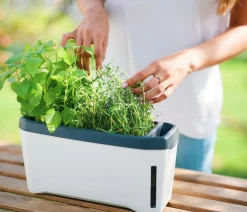 GUSTA GARDEN Hydrosysteme|Blumentöpfe & Übertöpfe - Kräutertopf Harry Herbs, ca. B36/H16/T15 cm Weiß
