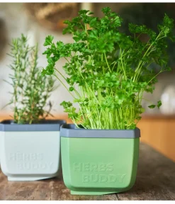 GUSTA GARDEN Hydrosysteme|Blumentöpfe & Übertöpfe > Kräutertopf Herbs Buddy, ca. B16/H14/T14 cm