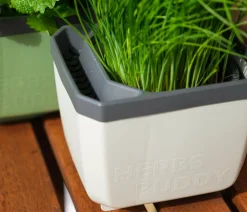 GUSTA GARDEN Hydrosysteme|Blumentöpfe & Übertöpfe > Kräutertopf Herbs Buddy, ca. B16/H14/T14 cm