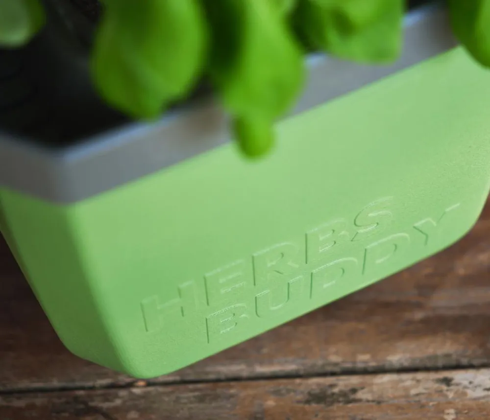 GUSTA GARDEN Kräutertopf Herbs Buddy, ca. B16/H14/T14 cm, 3er-Set Dunkelgrün Outlet