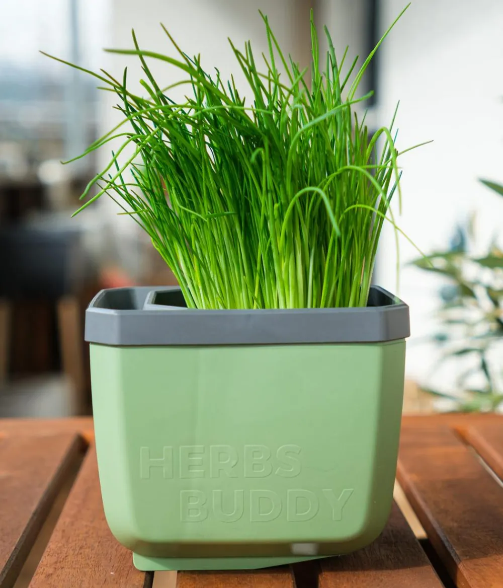 GUSTA GARDEN Kräutertopf Herbs Buddy, ca. B16/H14/T14 cm, 3er-Set Dunkelgrün Outlet