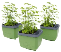 GUSTA GARDEN Kräutertopf Herbs Buddy, ca. B16/H14/T14 cm, 3er-Set Dunkelgrün Outlet