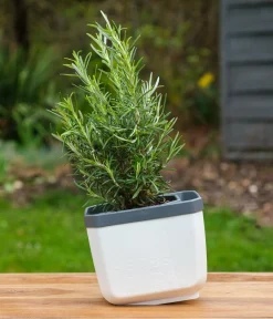 GUSTA GARDEN Kräutertopf Herbs Buddy, ca. B16/H14/T14 cm Weiß