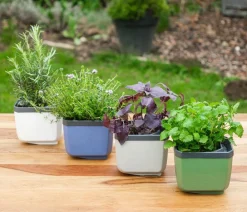 GUSTA GARDEN Kräutertopf Herbs Buddy, ca. B16/H14/T14 cm Weiß