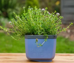 GUSTA GARDEN Hydrosysteme|Blumentöpfe & Übertöpfe - Kräutertopf Herbs Buddy, ca. B16/H14/T14 cm, 3er-Set Blau