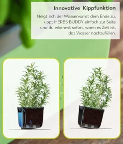 GUSTA GARDEN Hydrosysteme|Blumentöpfe & Übertöpfe - Kräutertopf Herbs Buddy, ca. B16/H14/T14 cm, 3er-Set Blau