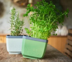 GUSTA GARDEN Hydrosysteme|Blumentöpfe & Übertöpfe - Kräutertopf Herbs Buddy, ca. B16/H14/T14 cm Hellgrau