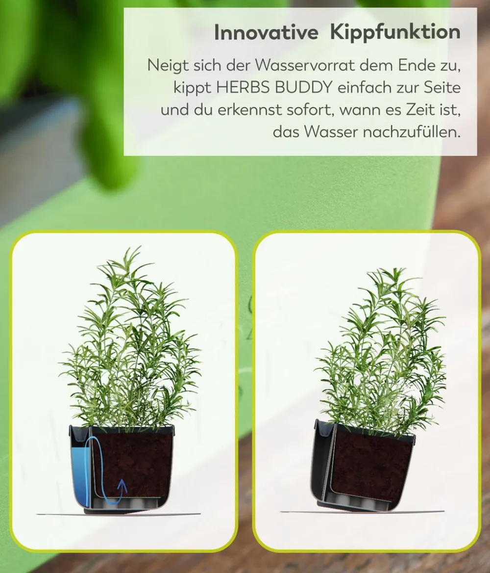 GUSTA GARDEN Hydrosysteme|Blumentöpfe & Übertöpfe - Kräutertopf Herbs Buddy, ca. B16/H14/T14 cm Blau