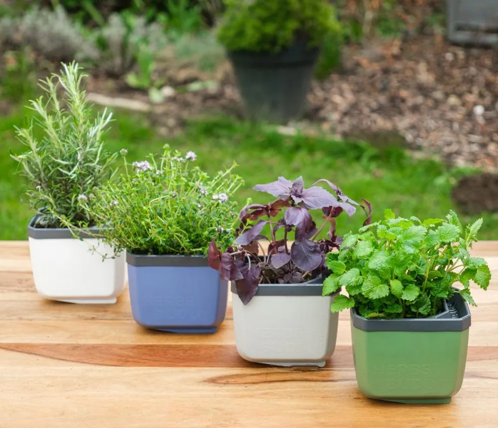 GUSTA GARDEN Hydrosysteme|Blumentöpfe & Übertöpfe - Kräutertopf Herbs Buddy, ca. B16/H14/T14 cm Blau
