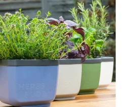 GUSTA GARDEN Hydrosysteme|Blumentöpfe & Übertöpfe - Kräutertopf Herbs Buddy, ca. B16/H14/T14 cm Blau