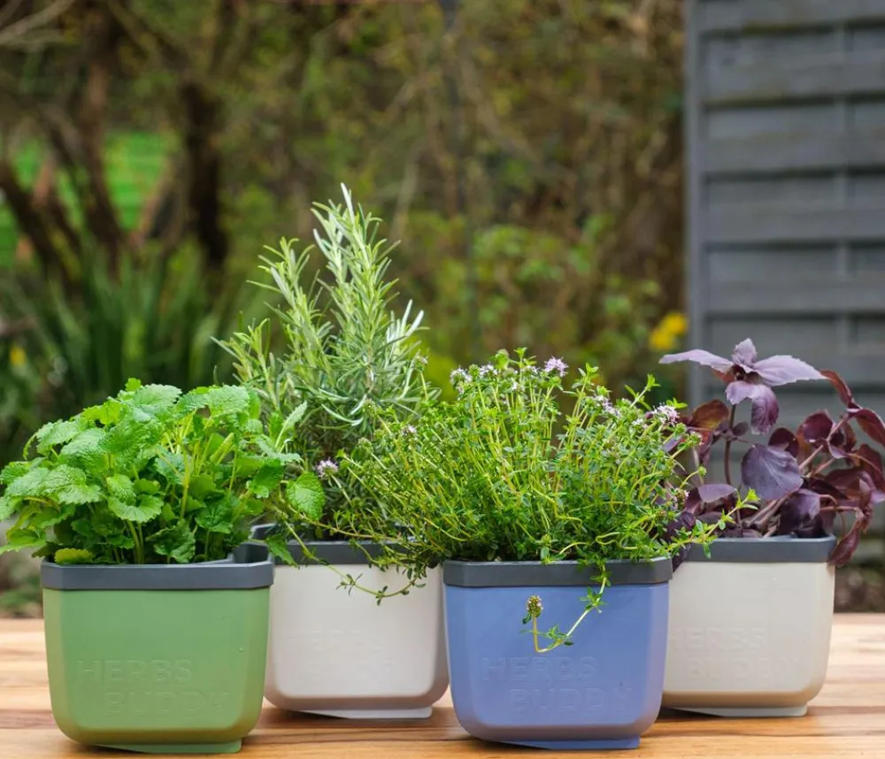 GUSTA GARDEN Hydrosysteme|Blumentöpfe & Übertöpfe - Kräutertopf Herbs Buddy, ca. B16/H14/T14 cm Blau
