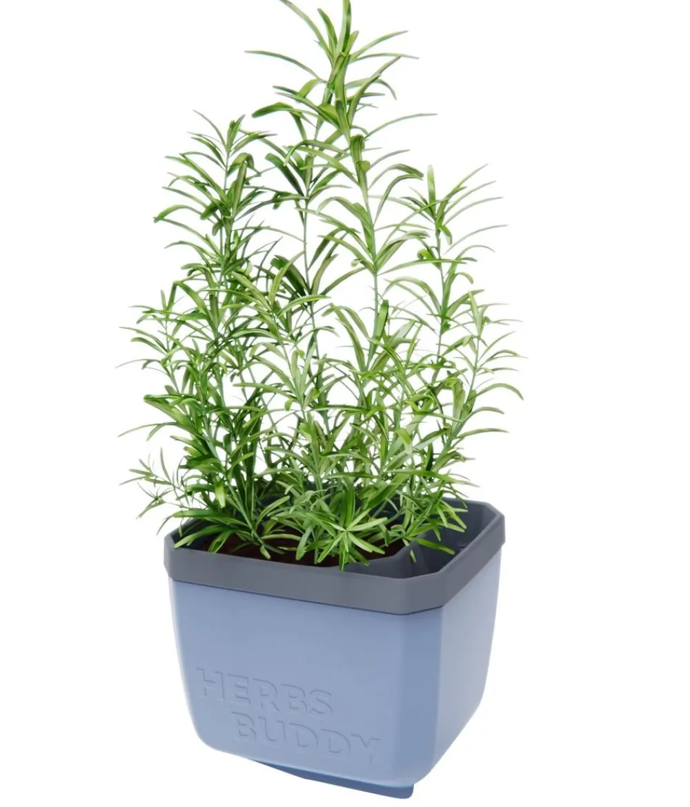 GUSTA GARDEN Hydrosysteme|Blumentöpfe & Übertöpfe - Kräutertopf Herbs Buddy, ca. B16/H14/T14 cm Blau
