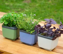 GUSTA GARDEN Blumentöpfe & Übertöpfe|Hochbeete & Frühbeete - Kräutertöpfe Herbs Buddy, ca. B19/H14,3/T13,6 cm, 3er-Set