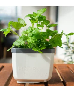 GUSTA GARDEN Blumentöpfe & Übertöpfe|Hochbeete & Frühbeete - Kräutertöpfe Herbs Buddy, ca. B19/H14,3/T13,6 cm, 3er-Set