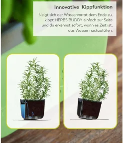 GUSTA GARDEN Blumentöpfe & Übertöpfe|Hochbeete & Frühbeete - Kräutertöpfe Herbs Buddy, ca. B19/H14,3/T13,6 cm, 3er-Set