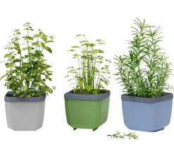 GUSTA GARDEN Blumentöpfe & Übertöpfe|Hochbeete & Frühbeete - Kräutertöpfe Herbs Buddy, ca. B19/H14,3/T13,6 cm, 3er-Set