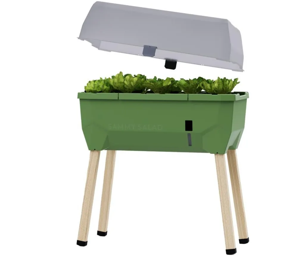 GUSTA GARDEN Hochbeete & Frühbeete - Mini-Hochbeet Sammy Salad, inkl. Haube, ca. B79/H95/T38 cm Dunkelgrün