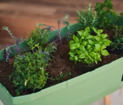 GUSTA GARDEN Hochbeete & Frühbeete - Mini-Hochbeet Sammy Salad, inkl. Haube, ca. B79/H95/T38 cm Dunkelgrün
