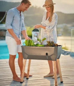 GUSTA GARDEN Hochbeete & Frühbeete > Mini-Hochbeet Sammy Salad, ca. B79/H75/T37,5 cm