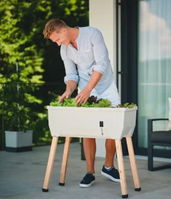 GUSTA GARDEN Hochbeete & Frühbeete - Mini-Hochbeet Sammy Salad, ca. B79/H75/T37,5 cm Hellgrau