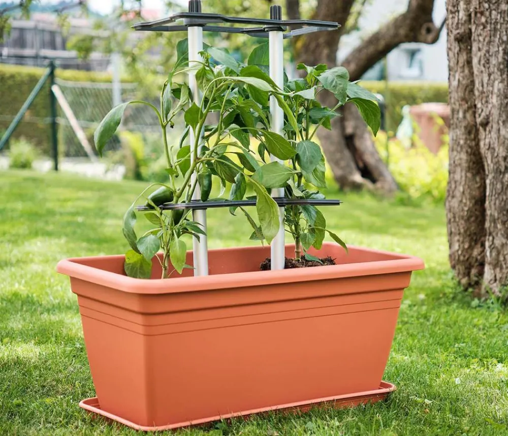 GUSTA GARDEN Hochbeete & Frühbeete > Paprika-Rankhilfe Chili Buddy, ca. B34/H64/T19 cm