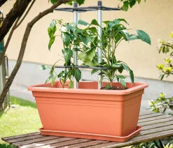 GUSTA GARDEN Hochbeete & Frühbeete > Paprika-Rankhilfe Chili Buddy, ca. B34/H64/T19 cm