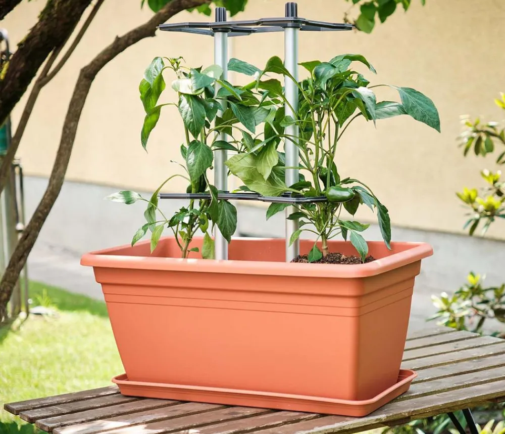 GUSTA GARDEN Hochbeete & Frühbeete > Paprika-Rankhilfe Chili Buddy, ca. B34/H64/T19 cm