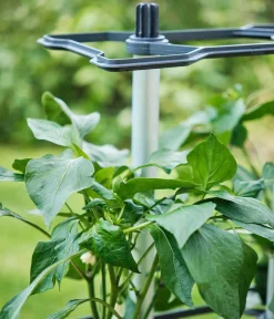 GUSTA GARDEN Hochbeete & Frühbeete > Paprika-Rankhilfe Chili Buddy, ca. B34/H64/T19 cm