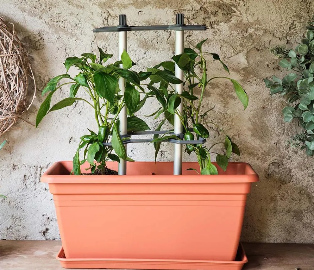 GUSTA GARDEN Hochbeete & Frühbeete > Paprika-Rankhilfe Chili Buddy, ca. B34/H64/T19 cm
