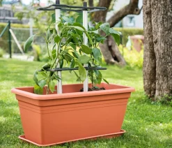 GUSTA GARDEN Rankgitter & Obelisken - Rankhilfe Chili Buddy, ca. B34/H64/T19 cm, 3er-Set