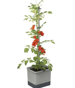 GUSTA GARDEN Hochbeete & Frühbeete > Tomatentopf Tom Tomato, ca. B35/H135/T28 cm