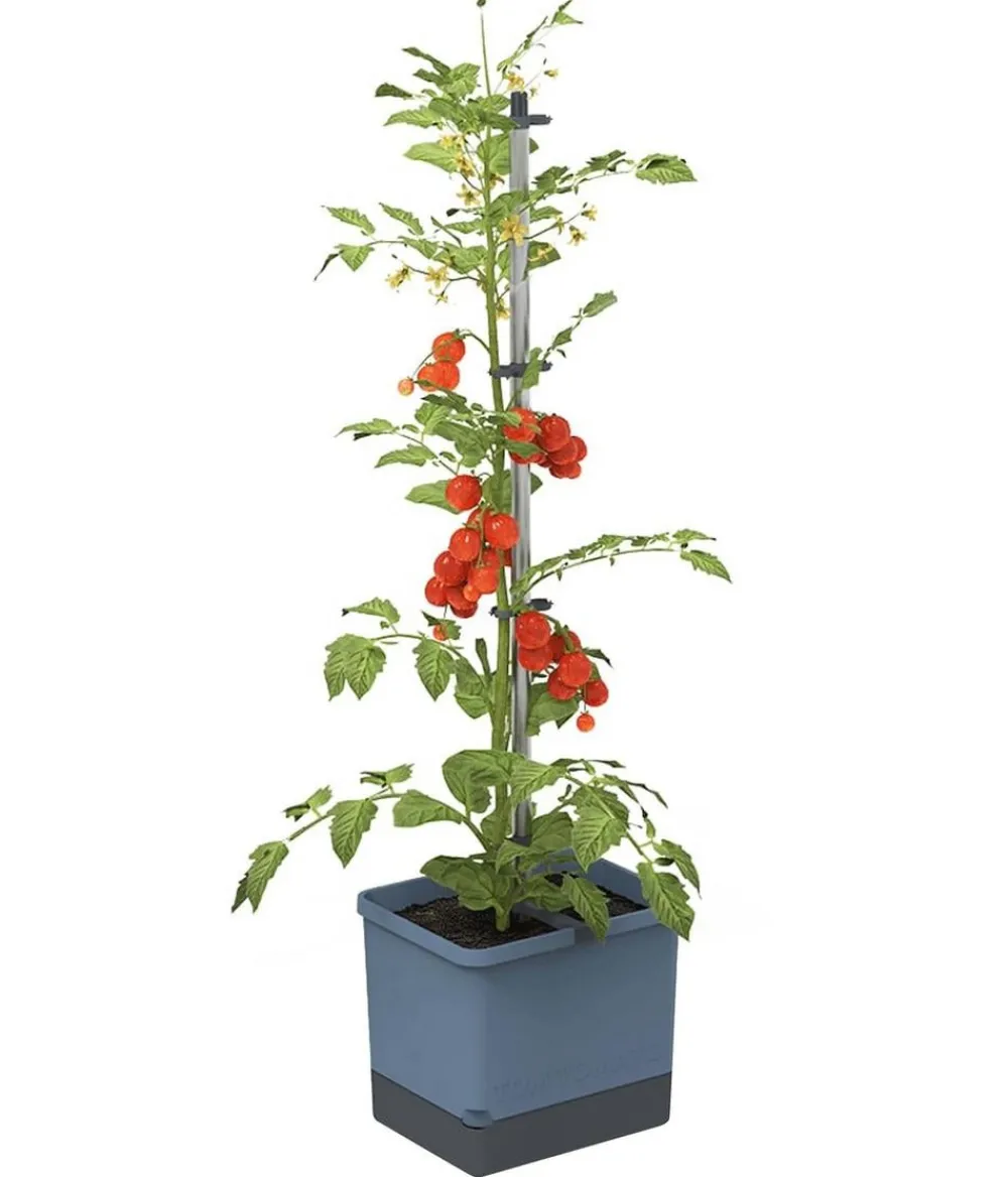 GUSTA GARDEN Tomatentopf Tom Tomato, ca. B35/H135/T28 cm Blau Online